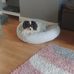 Madeline Workman - Facebook