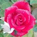 Madeline Wright - Facebook