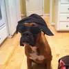 Madeline Wright - @madeline.wright5 - TikTok