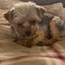 Madeline Wright - Facebook