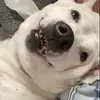 Madeline Wright - @madeline.wright4808 - TikTok