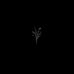 Madelyn Ashly - Facebook