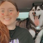 Madeline Bush - @dogsbymaddie - Instagram