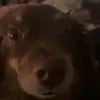 Madelyncarnes - @madelyncarnes - TikTok