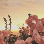 Madelyn carroll - @strawberrymads2009 - Instagram