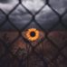Madelyn Shattuck - Facebook