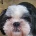 Maddy Christopher - Facebook