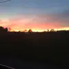 Maddie - @madelyncole - TikTok