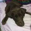 madelyn.cole2006 - @puppylovermaddy - TikTok