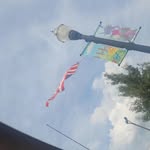 Madelyn Compton - @mads25800114 - Instagram