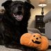 Madelyn Conner - Facebook