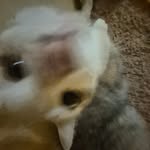 Madelyn Cook - @madelyncook20041818 - Instagram