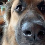 Madelyn Cook - @maddies_resale - Instagram