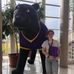 Madelyn Curry - Facebook