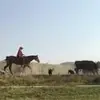 Madelyn Erickson495 - @madelynerickson0 - TikTok