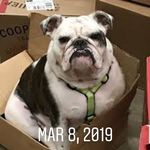 Madelyn Claire Farris - @mcfarris07 - Instagram