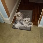 Madelyn Farris - Facebook