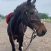 Maddy Fleming - Facebook