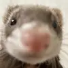 madelyngarrett8 - @madelyngarrett8 - TikTok