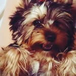 @madelyn.green.7496778 - Instagram