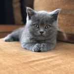 Madelyn Green - @madelyngreen443 - Instagram