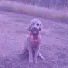 Mady:) - @madelyn.green35 - TikTok