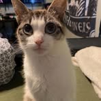 Madilyn Haley - Facebook