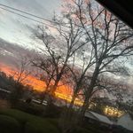 Madelyn Hamby - @hamby_madelyn - Instagram