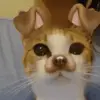 Madelyn Heathman - @madelynheathman - TikTok