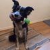 Madelyn Hendrickson - Facebook