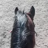 madelynhinkle - @madelynhinkle - TikTok