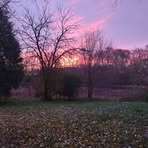 Madelyn Howard - Facebook