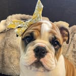 @madelyn_james_lou - Instagram