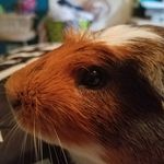Madelyn Lang - @madelyn.lang22 - Instagram