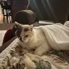 madelyn - @madelynleighc - TikTok
