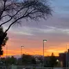 madelyn - @.madelynleigh - TikTok