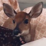Madeline Furey Mayo - @madeline.mayo - Instagram