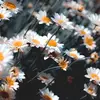 Madelyn McClure - @madelyn34894 - TikTok