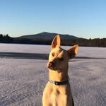Madelynn McElroy - @madelynn_h_m - Instagram