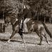 Madelyn Mclean - Facebook