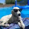 Madelyn_Miles - @madelyn_miles - TikTok