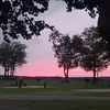 Nomadic_pixie420🍃🍄 - @madelynn_moore_ - TikTok