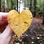 Madelyn Morrison - @maddie_loves_art_ - Instagram