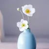 Madelyn Murphy - @jonathonchen139389 - TikTok