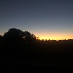 Madelyn Murphy - @marsh_mellow.cool_pictures - Instagram
