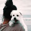 madelynnance - @madelynnance - TikTok
