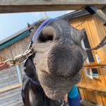 Madelyn Nashman Prendergast - @madelynnashmanp - Instagram