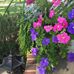 Madalyn O'Connor - Facebook