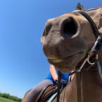 Madelyn Olson - Facebook