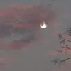Madelyn Paul - @madelyn.paul5 - TikTok
